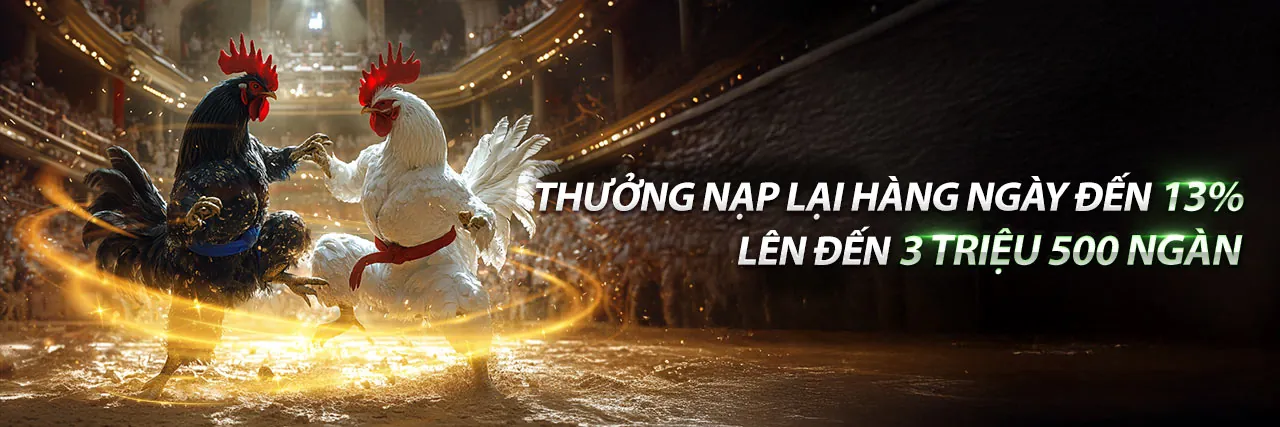 Hướng dẫn thuật ngữ cá cược tại 2q bet